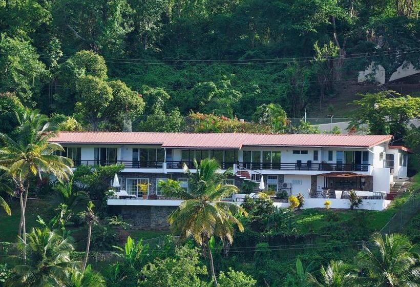 سوئیت با تخت بزرگ, Marigot Palms Luxury Caribbean Apartment Suites