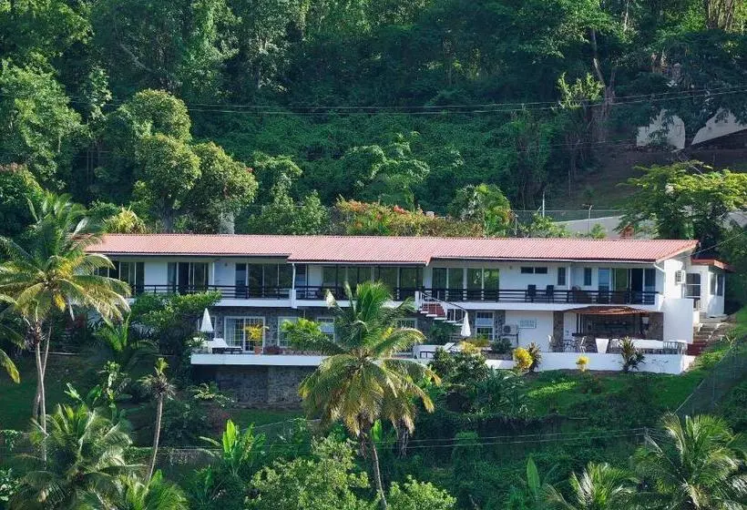 سوئیت با تخت بزرگ, Marigot Palms Luxury Caribbean Apartment Suites