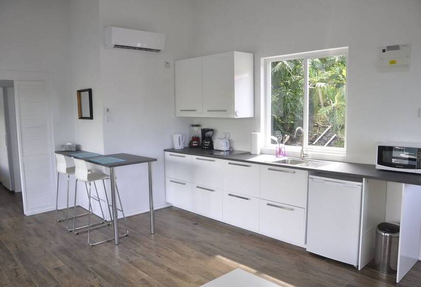 آپارتمان لوکس 1 خوابه, Marigot Palms Luxury Caribbean Apartment Suites