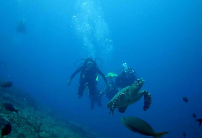 带海景标准四人间, Oasis & Surf Camp