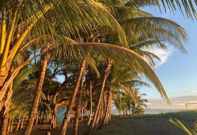 Triple Room Sea View, Oasis & Surf Camp