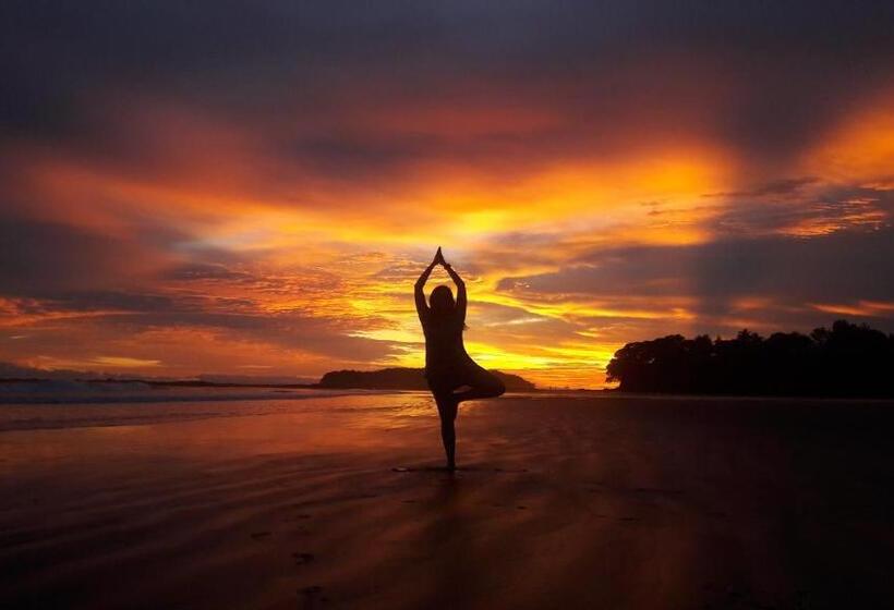 家庭洋房, Oasis & Surf Camp