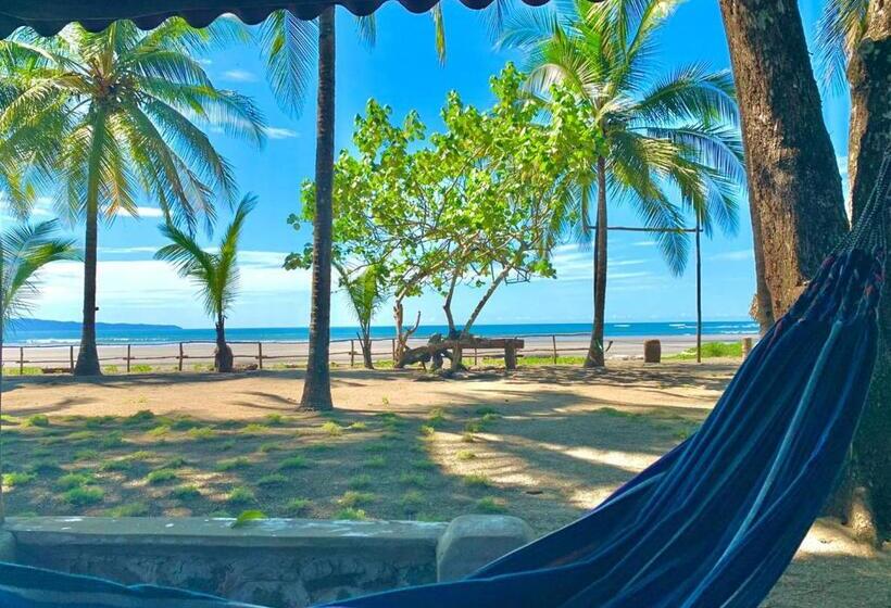 带海景的标准房, Oasis & Surf Camp