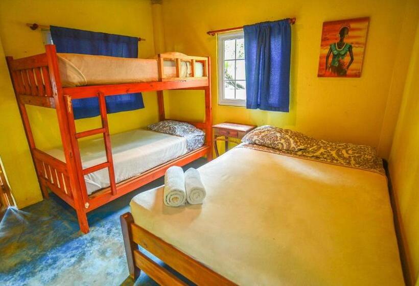 带海景标准四人间, Oasis & Surf Camp