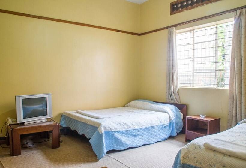 اتاق استاندارد, Pelikan