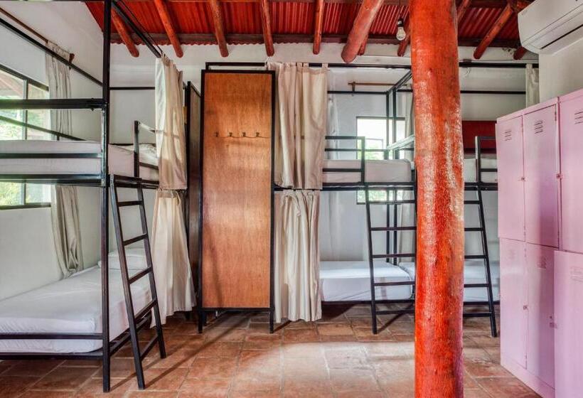 Кровать в Общей Комнате, Socialtel Maderas