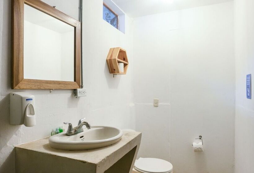 Standard Tent, Socialtel Maderas