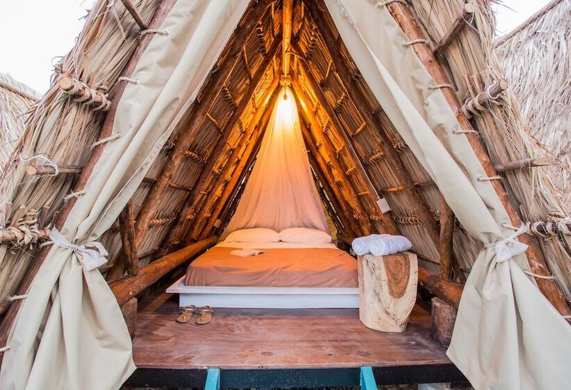 Standard Tent, Socialtel Maderas