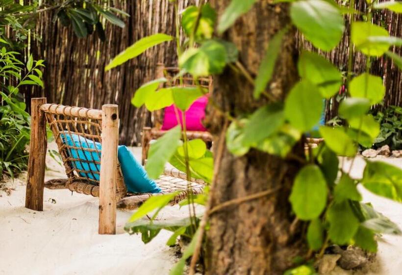 חדר סטנדרט לארבעה, Zanzistar Lodge