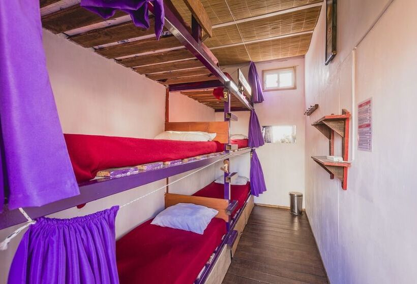 Cama en Habitación Compartida, The Trip Hostel