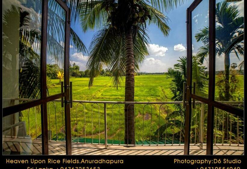 Quarto Deluxe com Vistas, Heaven Upon Rice Fields