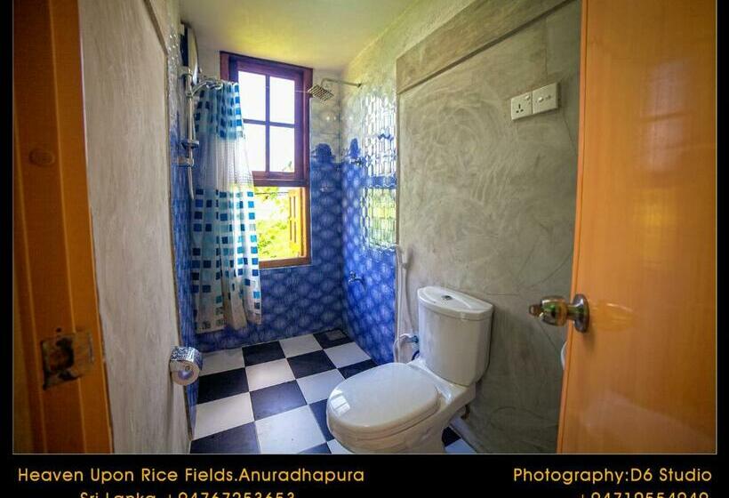 Quarto Estandar Interior, Heaven Upon Rice Fields