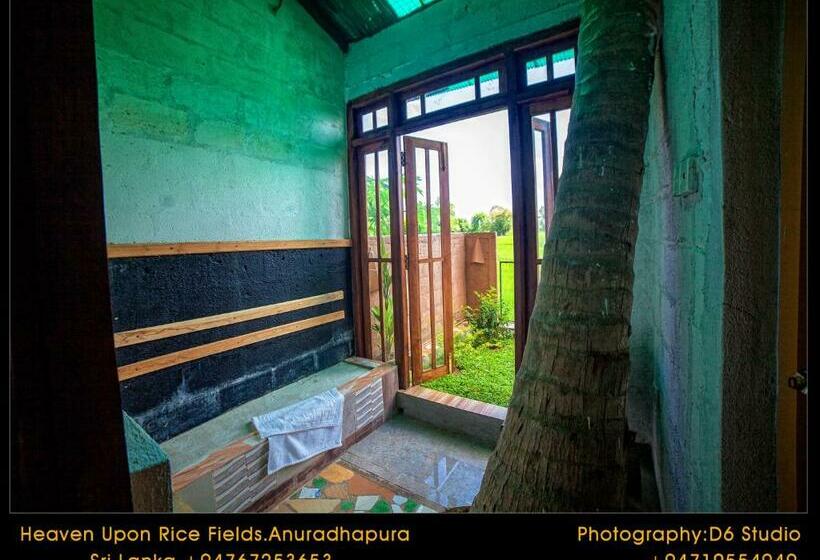 Quarto Estandar Interior, Heaven Upon Rice Fields