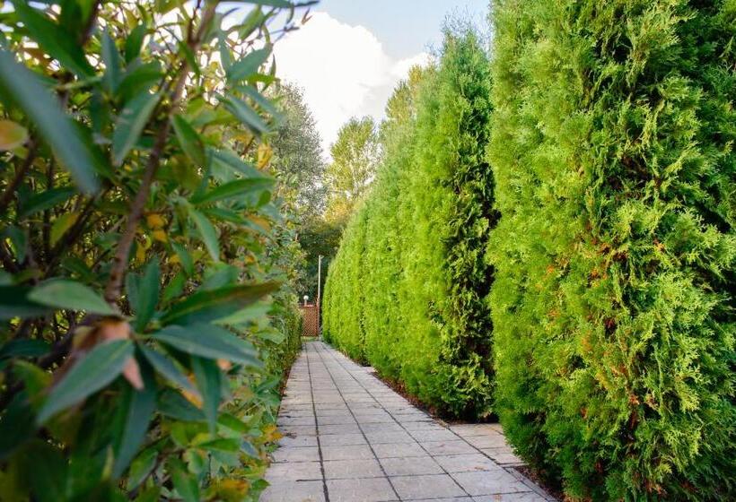 בקתה סטנדרטית, Petrovskyi Brovar