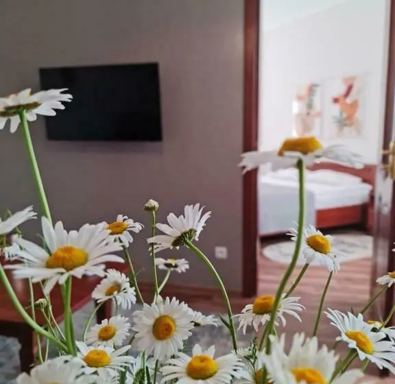 1 Yatak Odalı Delüks Daire, Villa Sofia