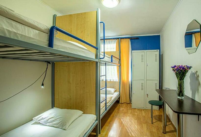 تختخواب در اتاق مشترک, Gar'is Hostel Kyiv