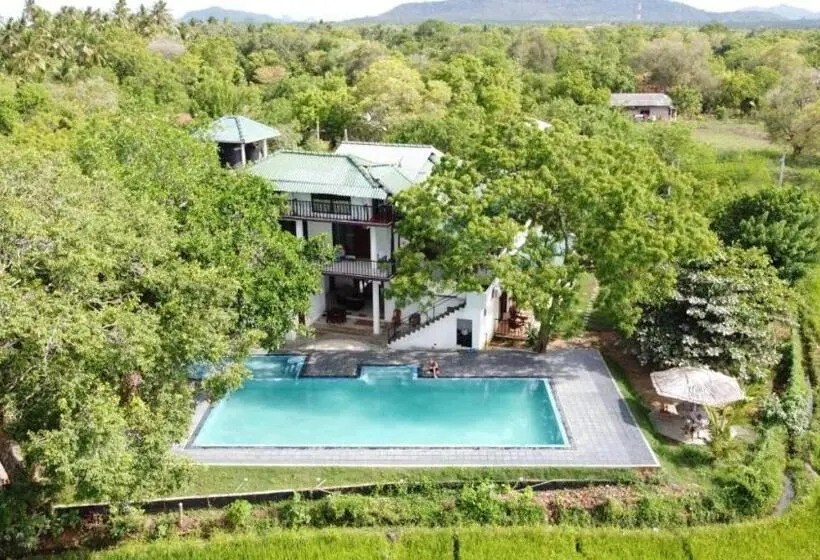 スーペリアーバンガロー, Birdsong Leisure Resort