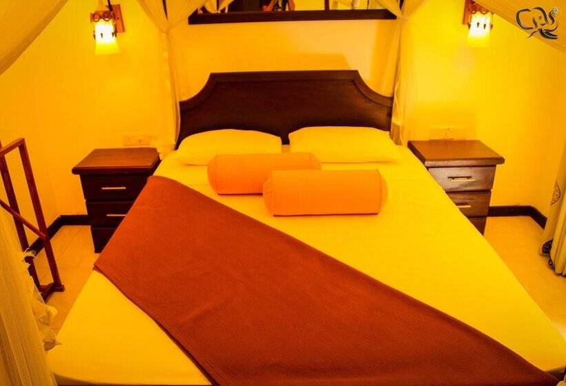 Standardrum, Kandy Waters