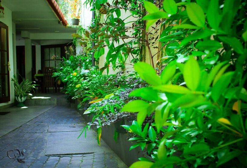 Deluxe Rum, Kandy Waters