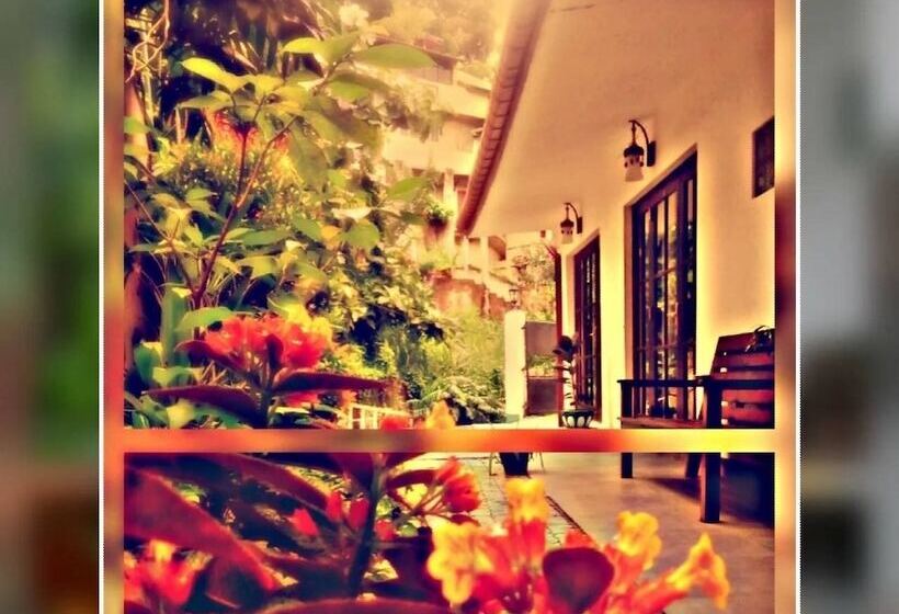 Deluxe Rum, Kandy Waters