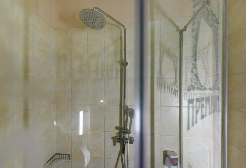 Juniorsviitti, Premium