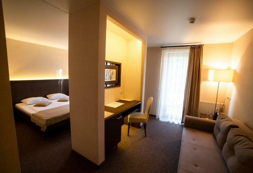 اتاق سوپریور با بالکن, Sribni Leleky Hotel & Spa