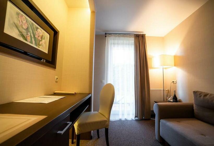 اتاق کلاس بیزنس, Sribni Leleky Hotel & Spa