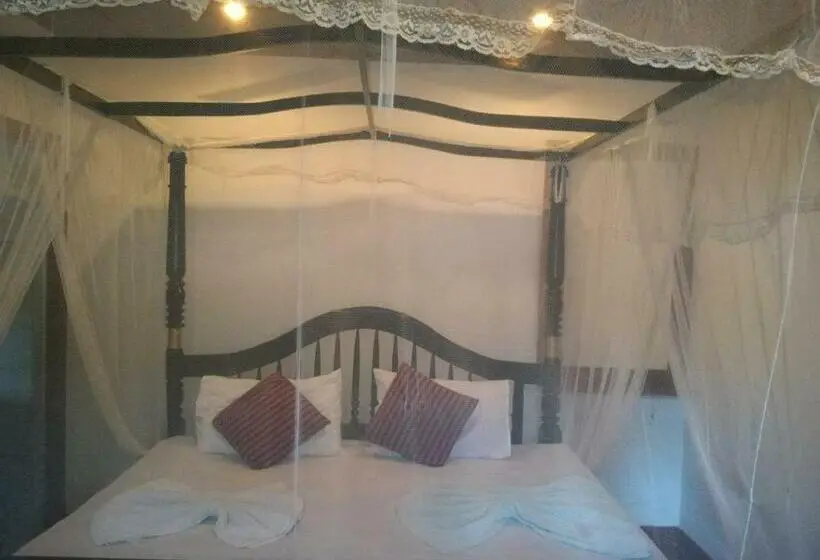スタンダードルーム, Gems Garden Guest House