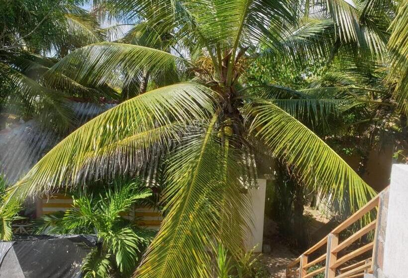 חדר דלוקס, Gems Garden Guest House