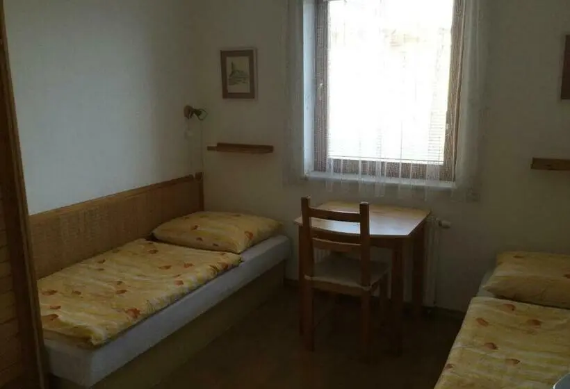 Standard-huone, Pension 325