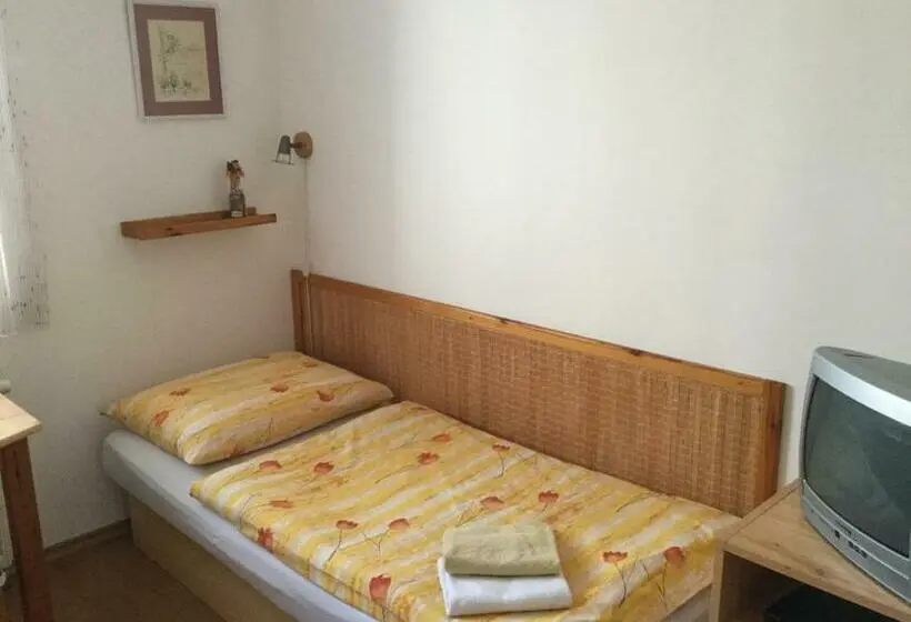 Standard-huone, Pension 325