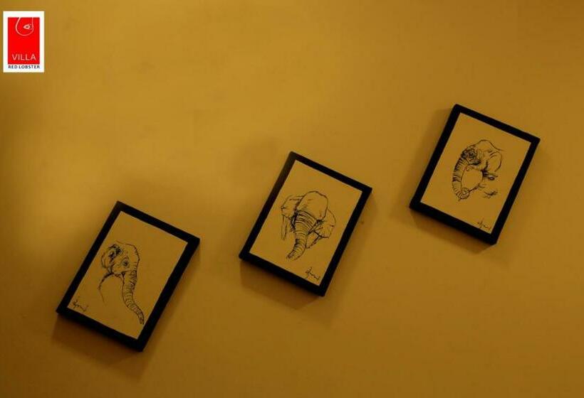 带大床的标准间, Villa Red Lobster