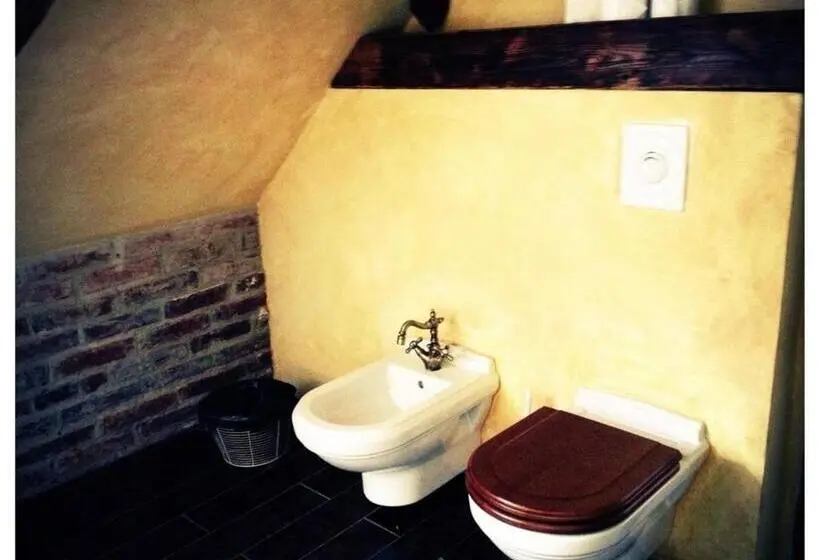 デラックススイート, Dvůr Olšiny  Hotel And Horse Riding