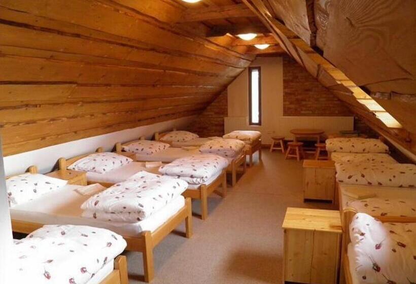 共用房间的床, Dvůr Olšiny  Hotel And Horse Riding