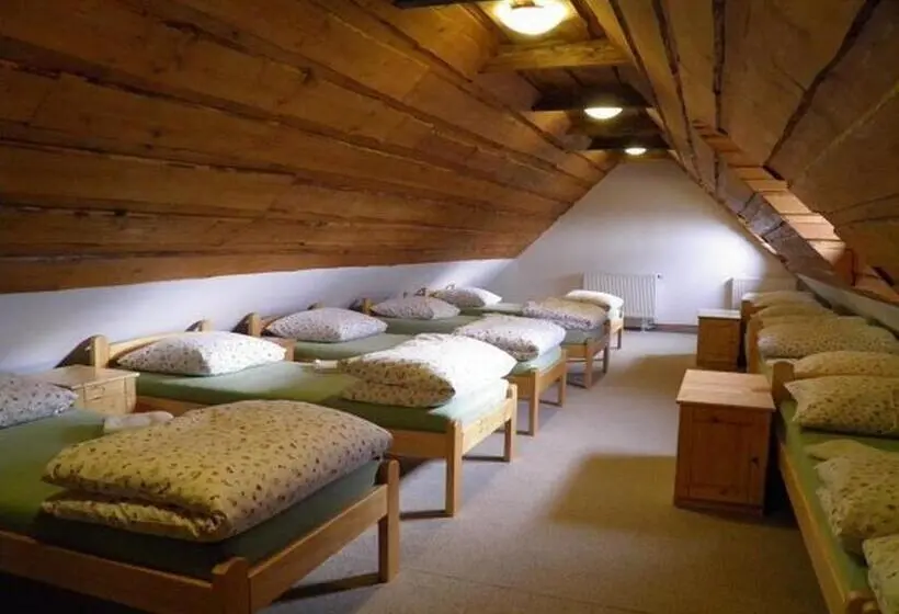 ルームシェアのワンベッド, Dvůr Olšiny  Hotel And Horse Riding