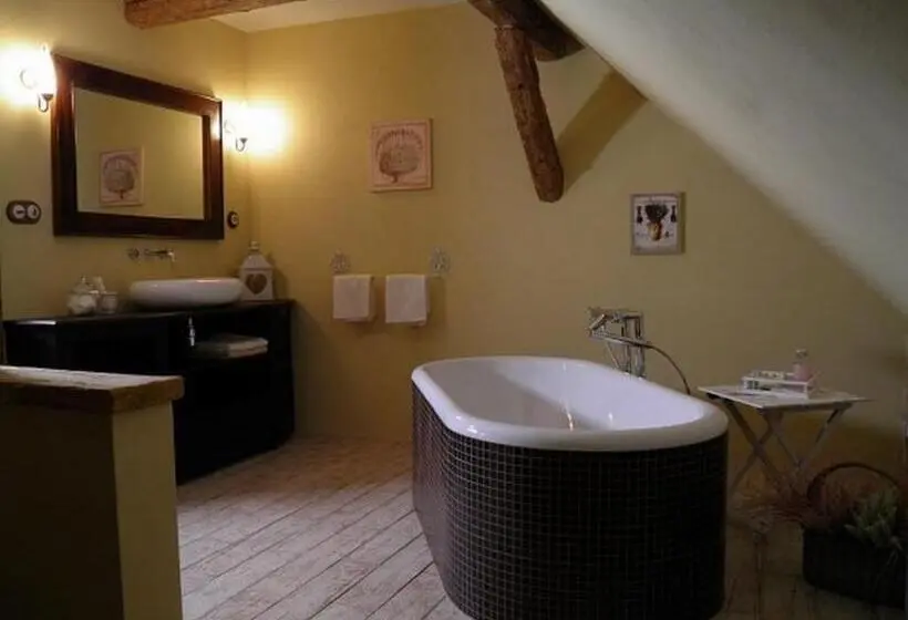 ビジネスルーム, Dvůr Olšiny  Hotel And Horse Riding