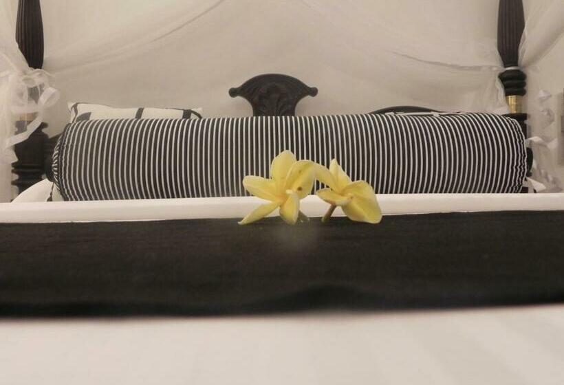 سوییت با چشمانداز دریا, Amanda Beach Villas