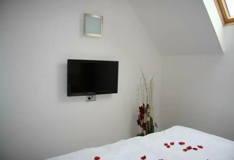 スタンダードシングルルーム, Art Hotel Podebrady