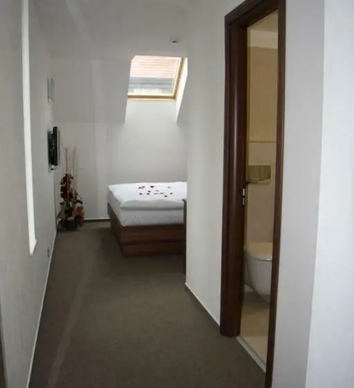 スタンダードルーム, Art Hotel Podebrady