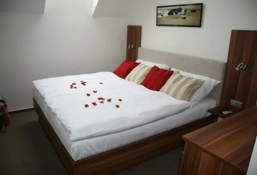 スタンダードシングルルーム, Art Hotel Podebrady