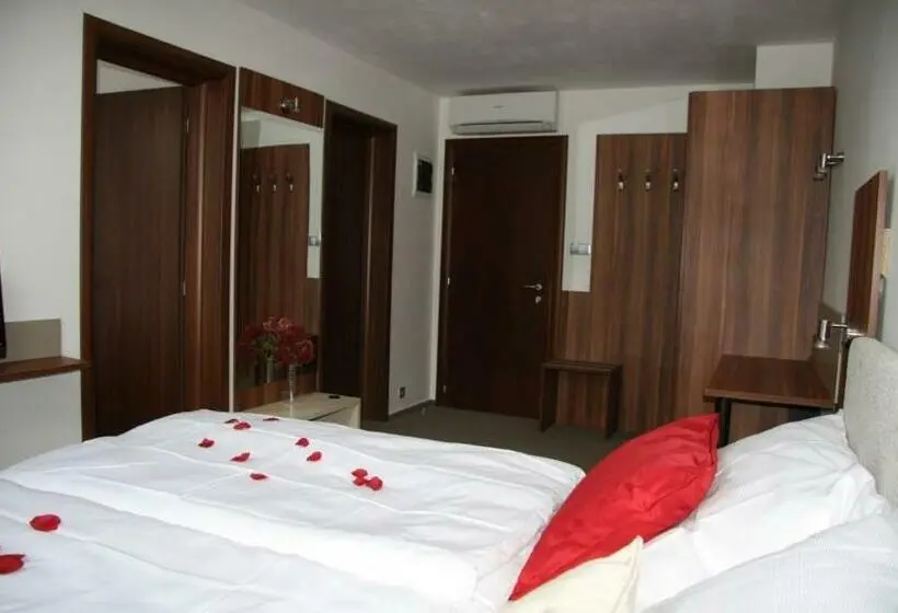 スタンダードルーム, Art Hotel Podebrady