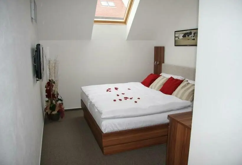スタンダードシングルルーム, Art Hotel Podebrady