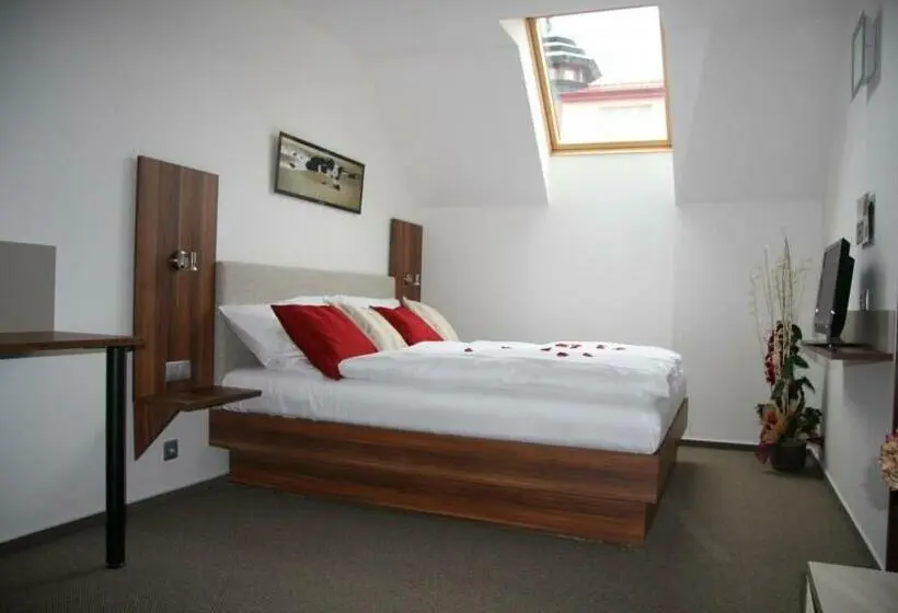 スタンダードルーム, Art Hotel Podebrady