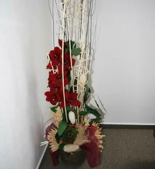 メゾネットスイート, Art Hotel Podebrady