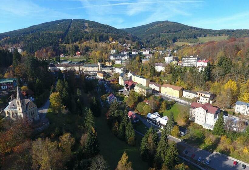 غرفة قياسية, Astoria With Private Skibus