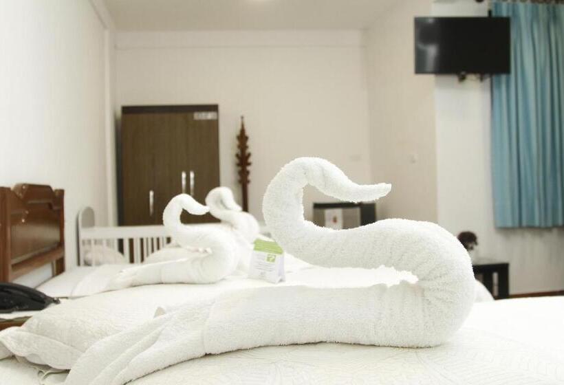 اتاق سوپریور خانوادگی, Buen Retiro Apart