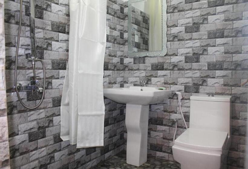 اتاق اکونومی, Green Palace Colombo