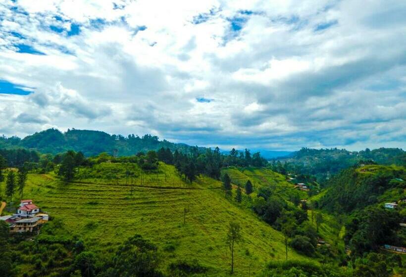 エコノミートリプルルーム, Lark Nest