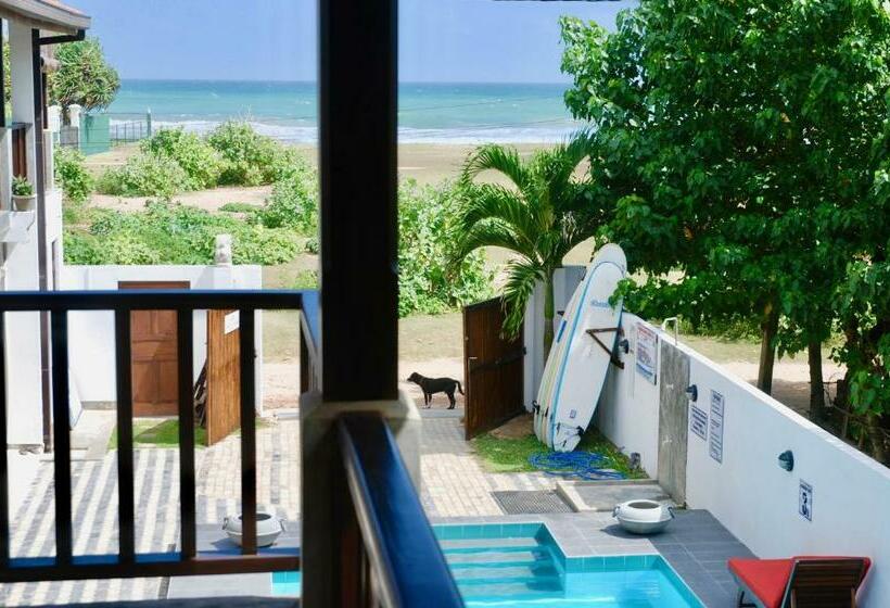 豪华房间, Lion's Rest