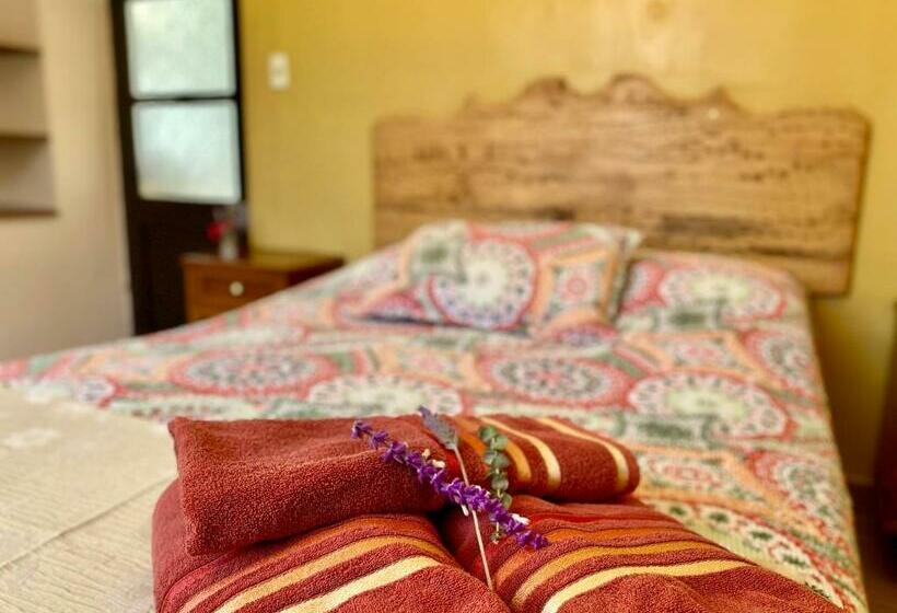 اتاق اکونومی, Mitru